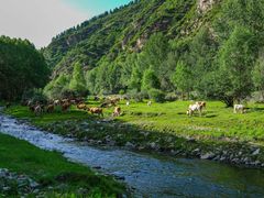 -五台山风景名胜区