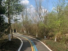 -桤木河湿地公园