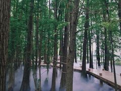 -东湖落雁景区
