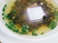 小鲍鱼-食海部落