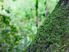 -西湖风景区-江洋畈生态公园