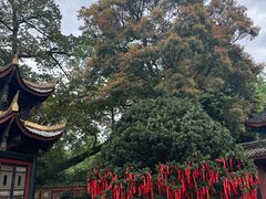 -峨眉山报国寺