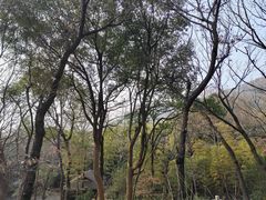 -虞山风景区