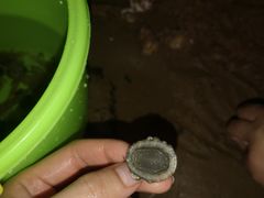 -青岛第三海水浴场