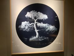 -青桃餐厅