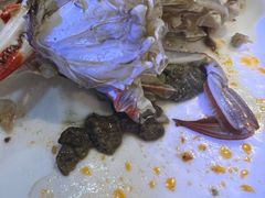 -半岛听涛蒸汽海鲜自助(K11店)