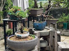 -阿多私房菜(顺德店)