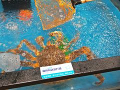 -盒马鲜生(曜一城店)