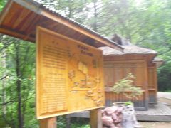 -五营红松林海景区