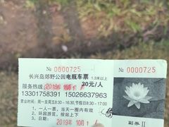 -上海长兴岛郊野公园