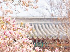 -潭柘寺景区