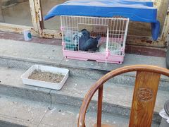 -华声天桥民俗文化园