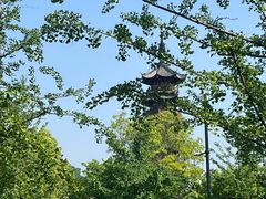 -龙华寺
