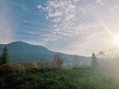 -塔川景区