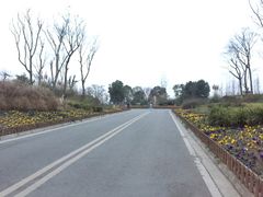 -白鹭湾湿地公园