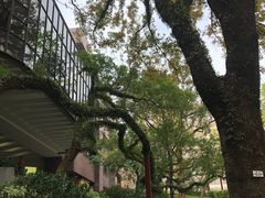 -香港港岛英迪格酒店