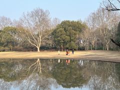-上海滨江森林公园