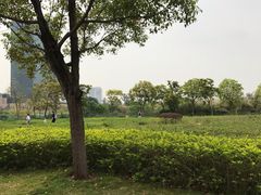 -海珠儿童公园