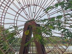 -苏州太湖国家湿地公园