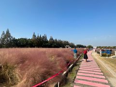 -嘉北郊野公园
