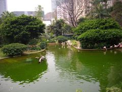 -九龙公园
