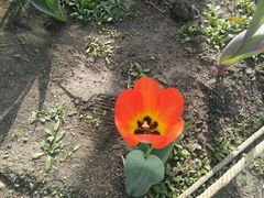 -长春公园(普阳街道)