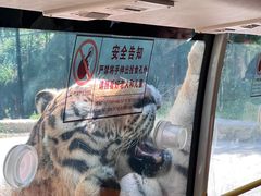 -栾川竹海野生动物园