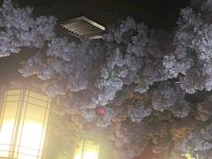 -福禧荟·海鲜自助