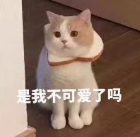 -1点点(曹杨路店)