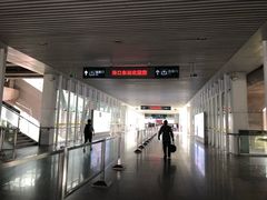 -海口东站