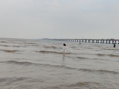 -南汇新城海滩