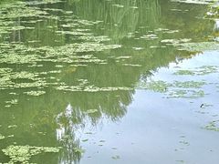 -昆山城市生态森林公园