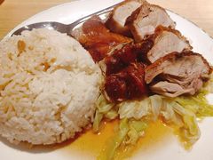 -昌勝香港深井烧鹅(新年华店)