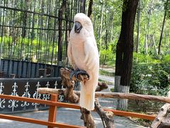 -北京野生动物园