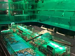 -JUKEBOX玖部音乐餐厅(华侨城店)