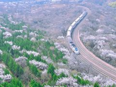 -石家庄市植物园