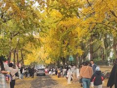 -青岛遇见米兰(八大关店)