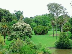 -墨尔本皇家植物园