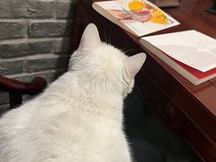 -一盃山水咖啡茶馆