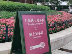 -迪士尼小镇