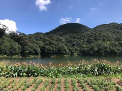 -广州市石门国家森林公园