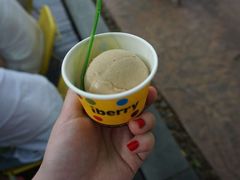 -莓园冰淇淋店