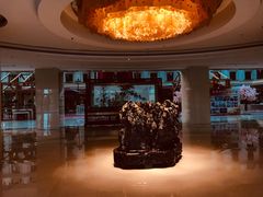 -中家鑫园温泉酒店鑫悦汤泉