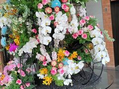 -浅深Cheersum(曹杨店)