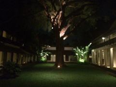 罗望乡村酒店-罗望子村酒店