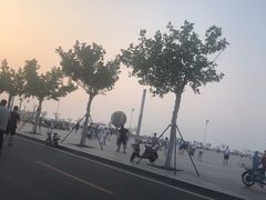 -东港音乐喷泉广场