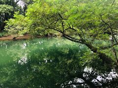 -婺源月亮湾
