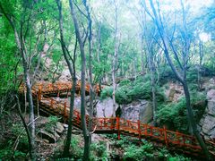 -大岭沟猕猴桃谷风景区