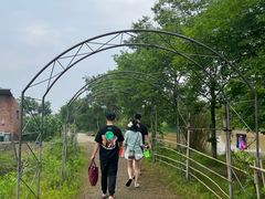 -金谷域澳洲庄园