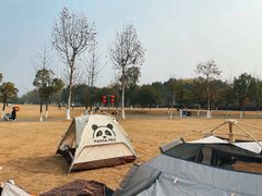 -洋湖国家湿地公园